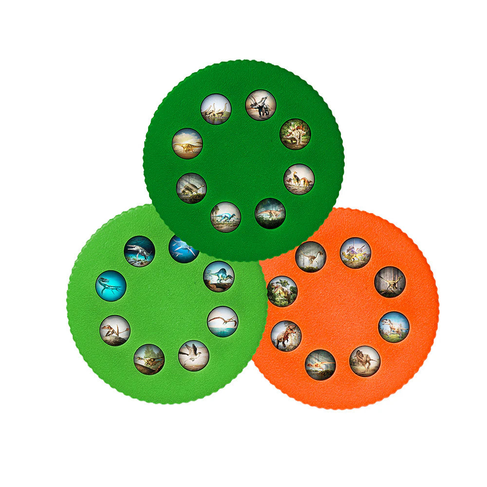 Dinosaurs Wonder Lights Educational Flashlight