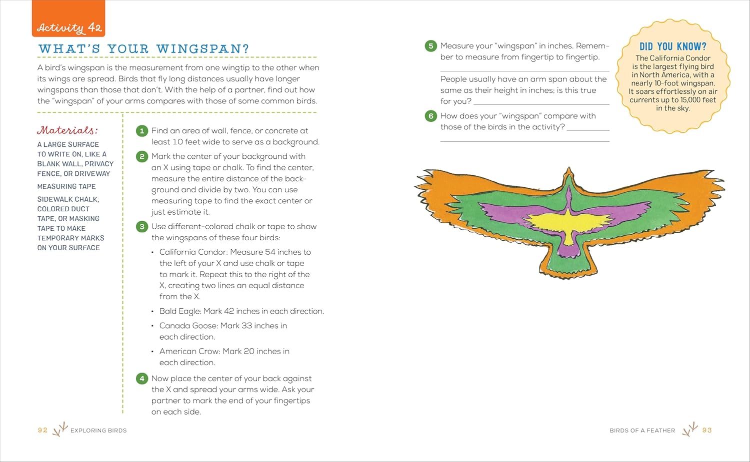 Exploring Birds Activity Book for Kids