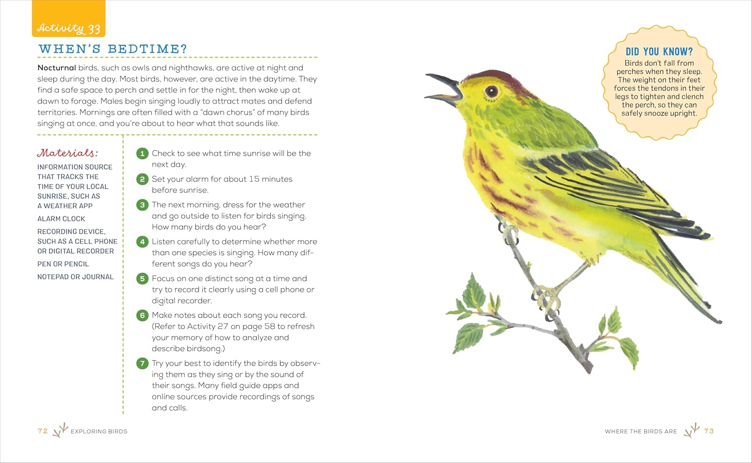 Exploring Birds Activity Book for Kids