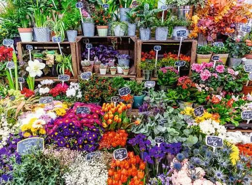 Flower Market, France 500 pc Puzzle