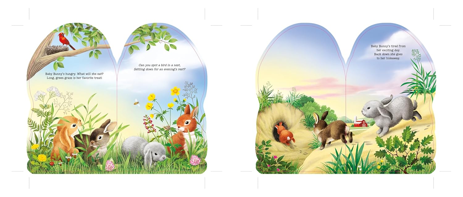 Furry Bunny Board Book