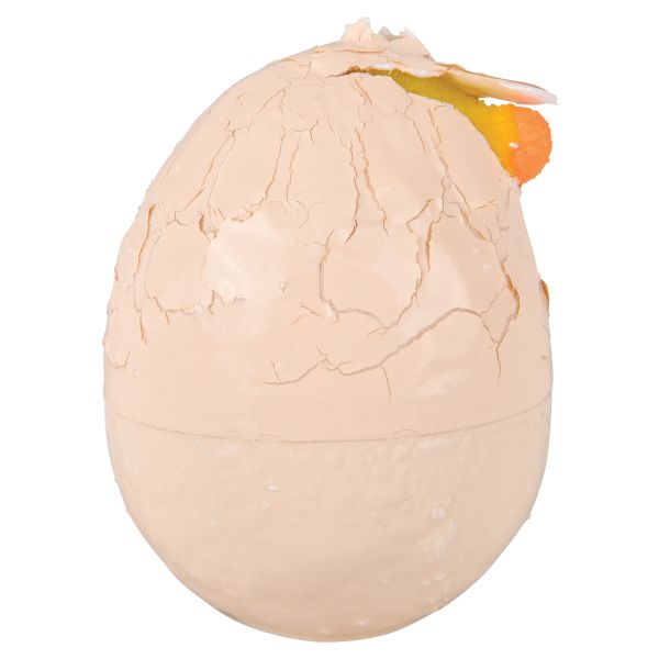 Hatch & Grow Small Chick in Egg