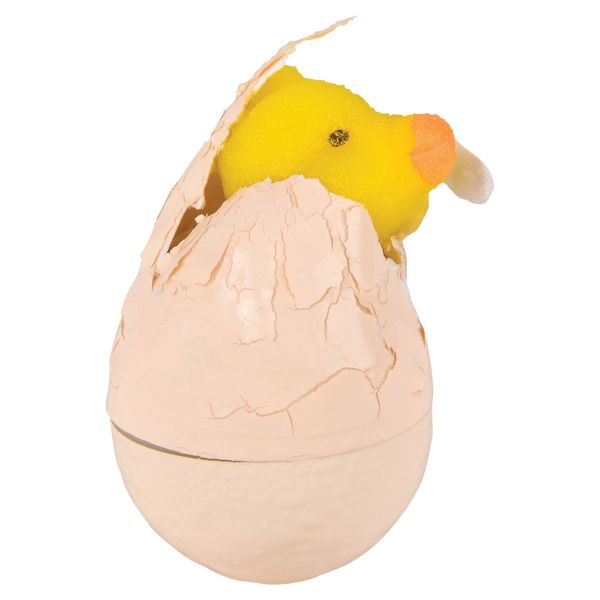 Hatch & Grow Small Chick in Egg