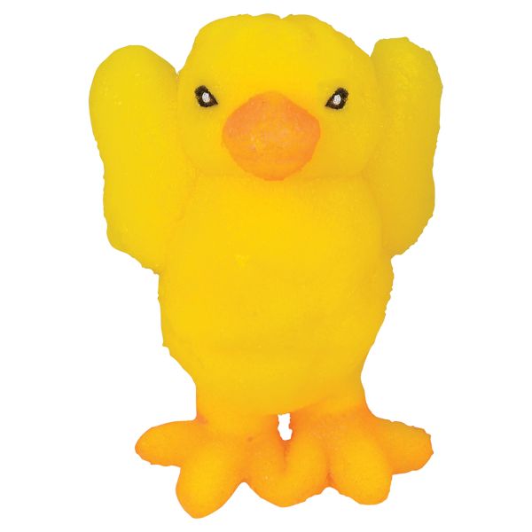 Hatch & Grow Small Chick in Egg