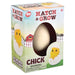 Hatch & Grow Small Chick in Egg