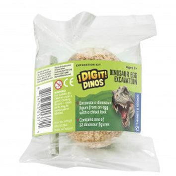 I Dig It! Dino Egg Kit