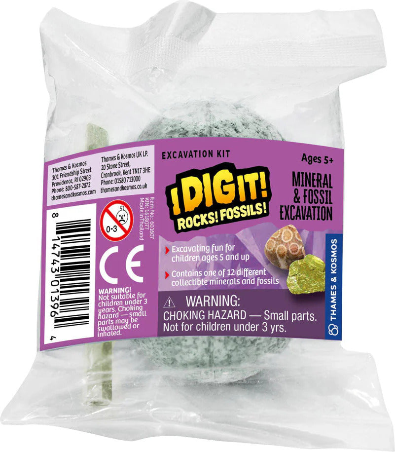 I Dig It! Rocks & Fossils Mini Excavation Kit