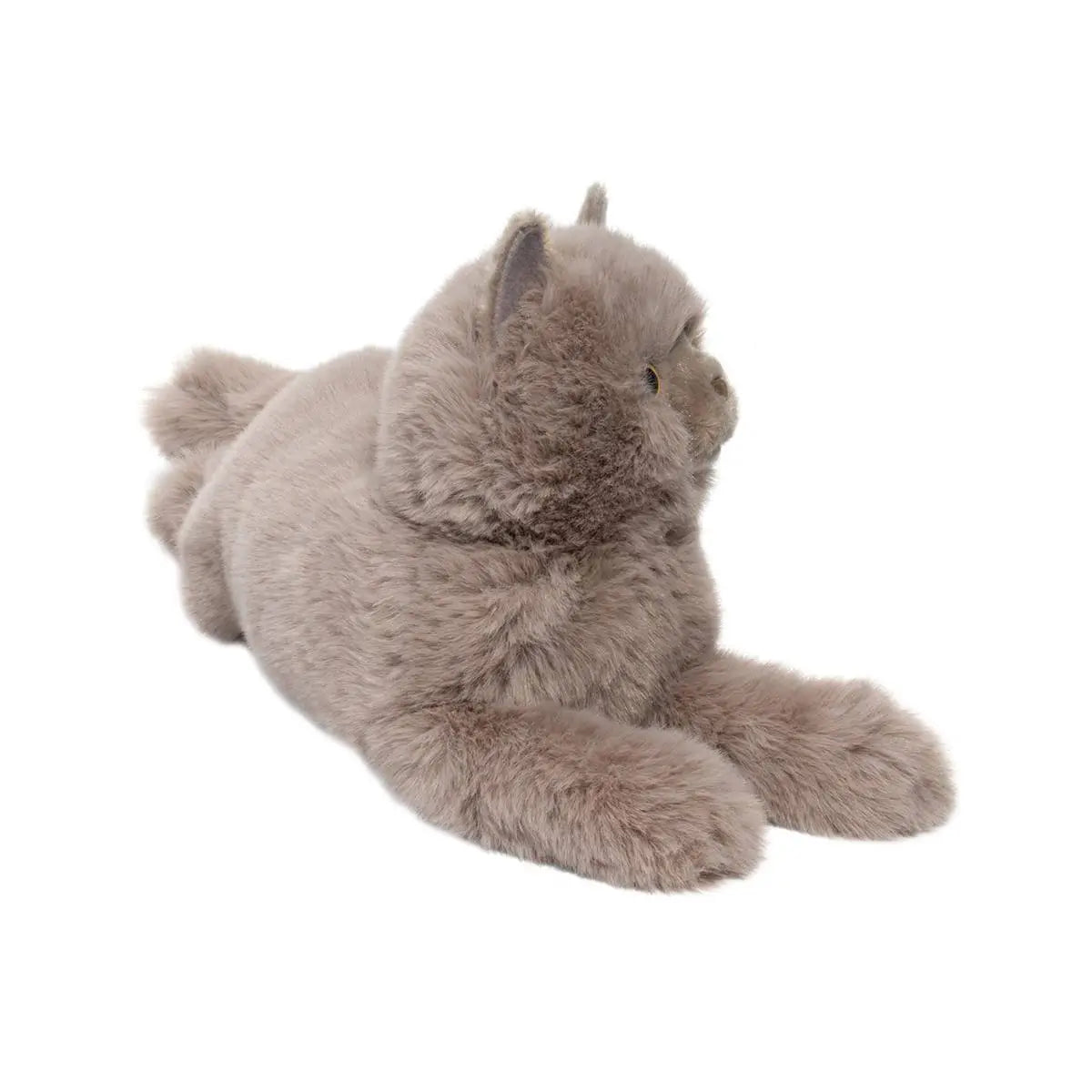 Juliette Grey Persian Cat