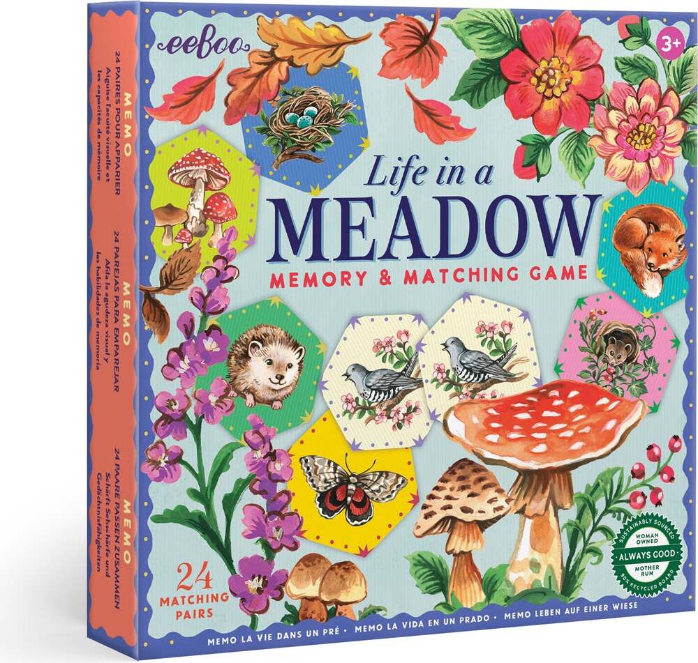 Life in a Meadow Matching Game