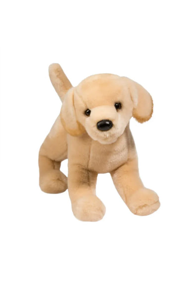 Mandy Yellow Lab