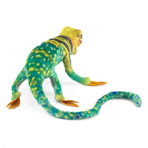 Mini Collared Lizard Puppet