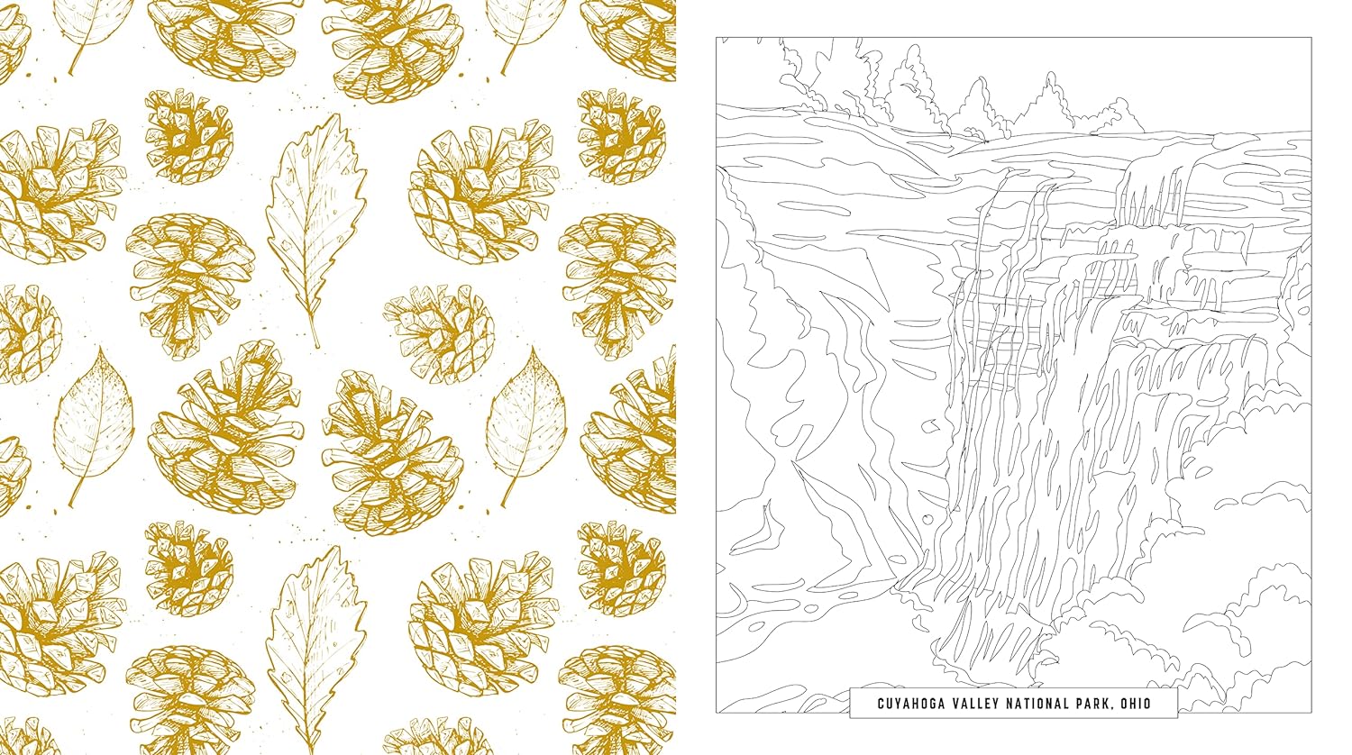 National Parks Coloring Book