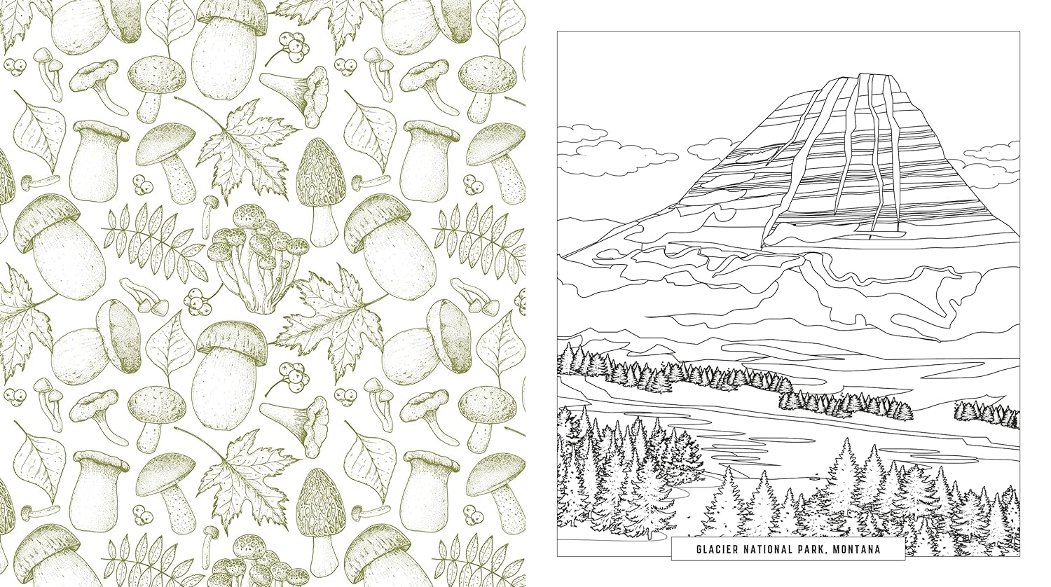 National Parks Coloring Book