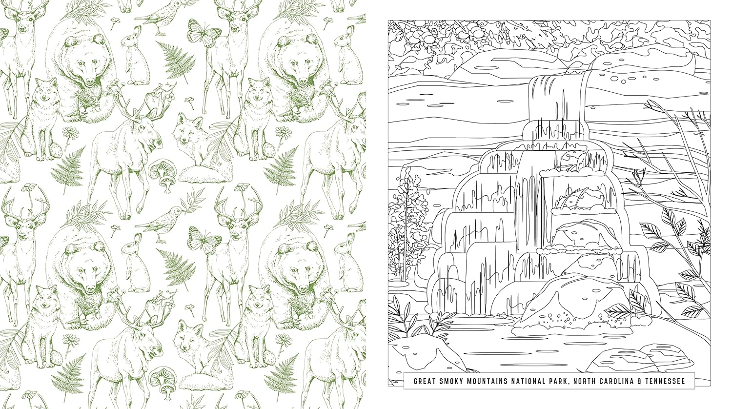 National Parks Coloring Book