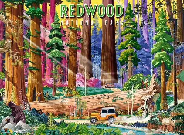 Redwood National Park 500 pc Puzzle