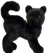 Scaredy Black Cat