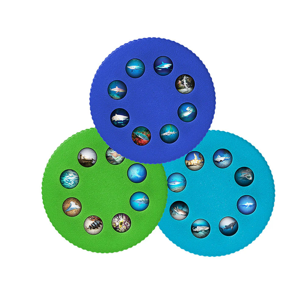 Sharks Wonder Lights Educational Flashlight