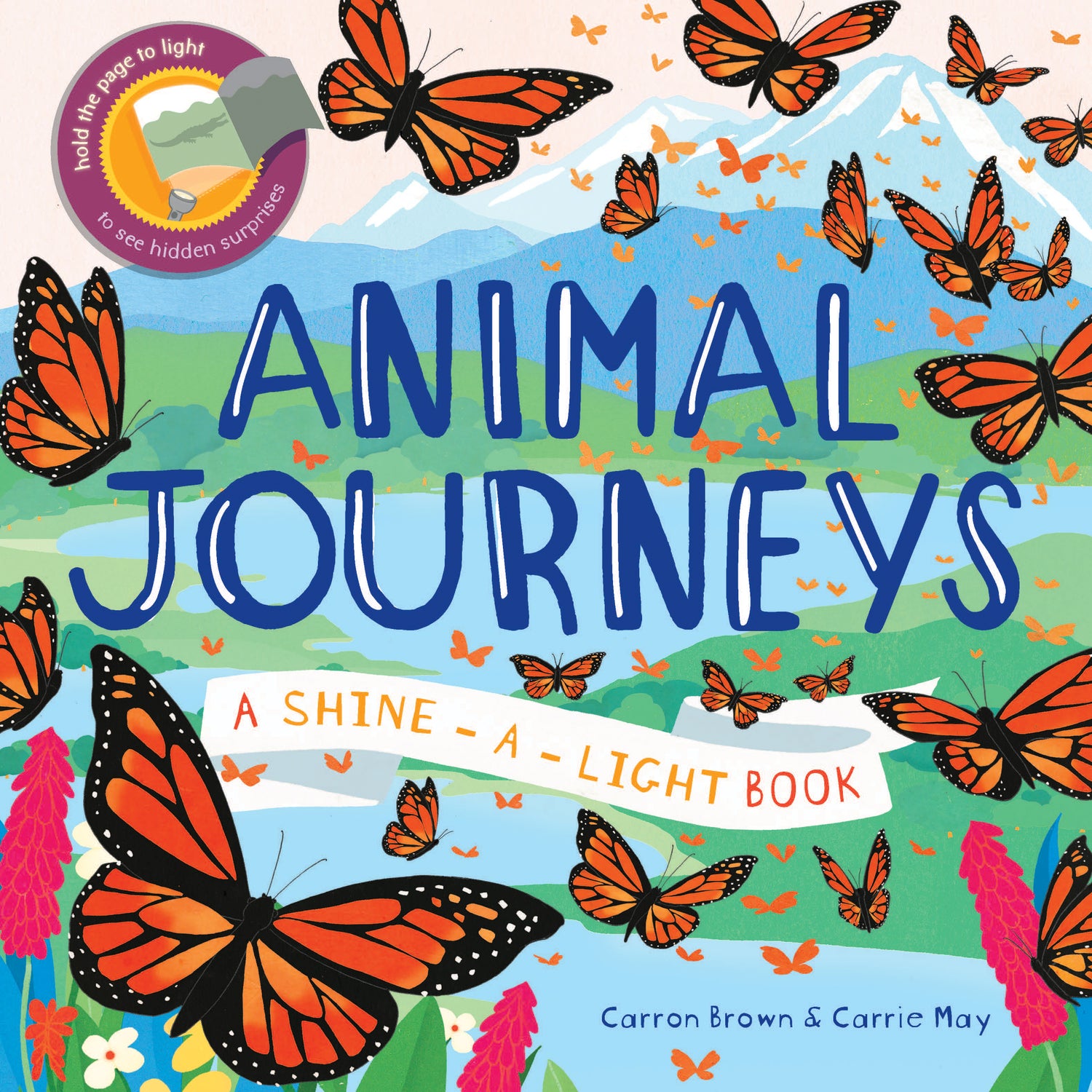 Shine-A-Light: Animal Journeys