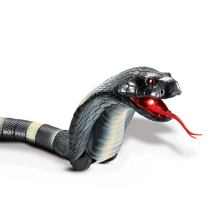 Slither RC Snake