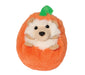 Spunkin Hedgehog Pumpkin