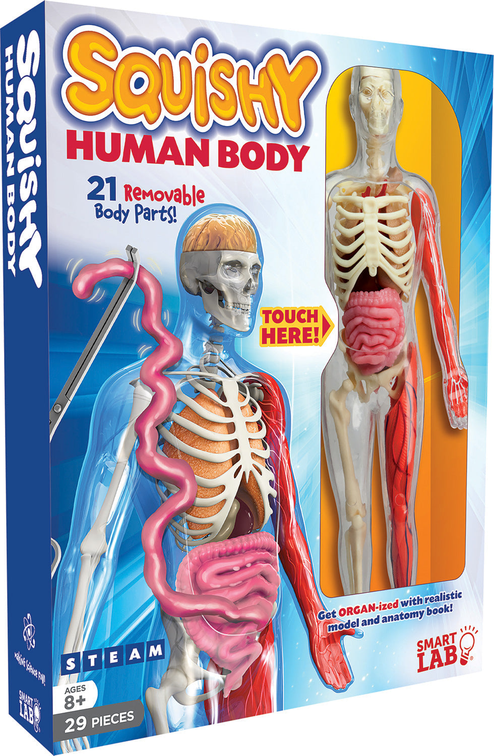 Squishy Human Body