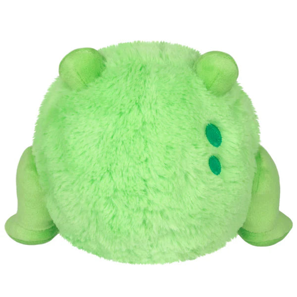 Undercover Snackers Corgi in Frog