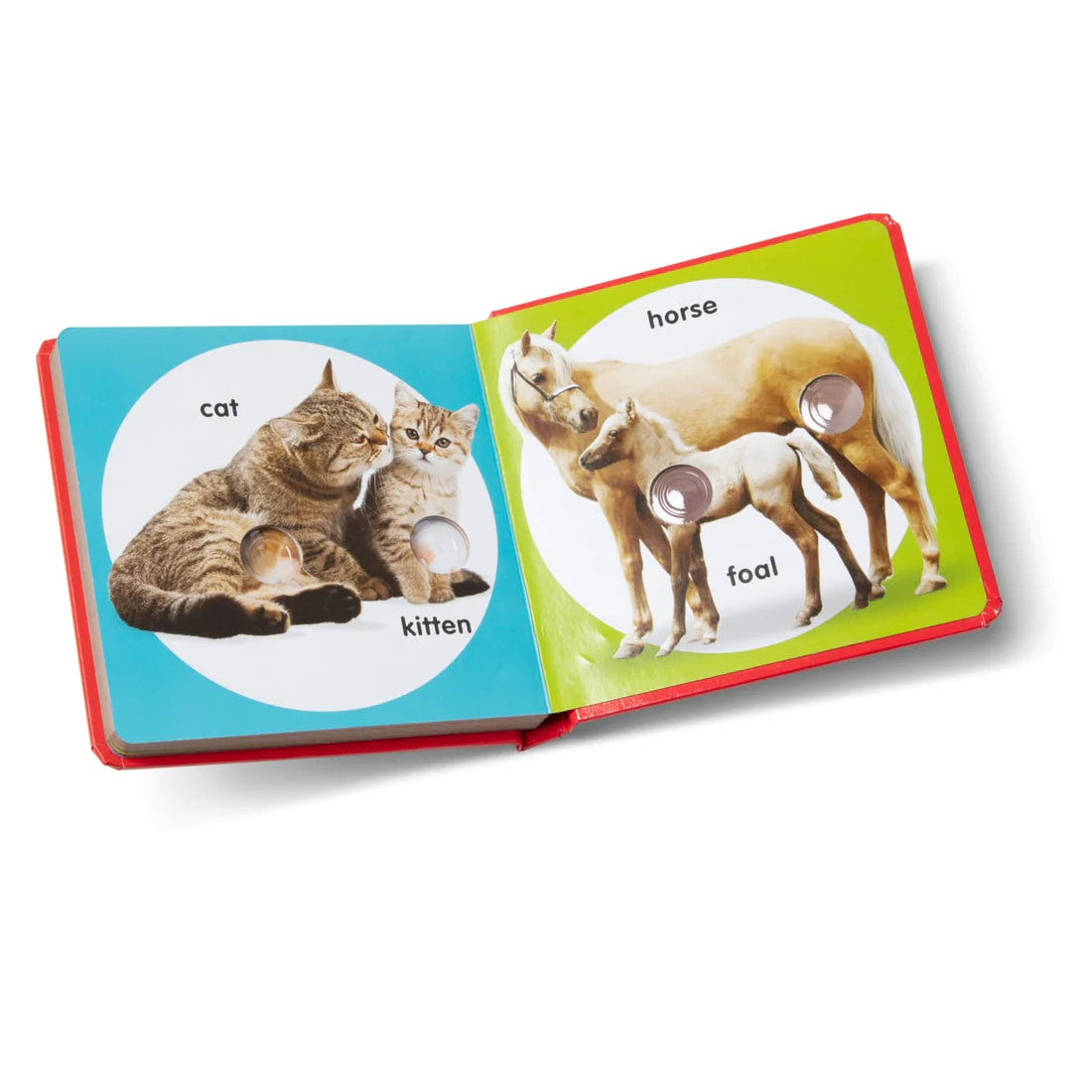 Pet Families Poke-A-Dot Book