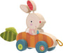 Bunny Pippa Push and Pull Toy