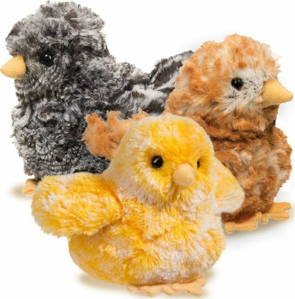 Yellow Multi Chick