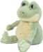 Flip Frog