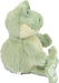 Flip Frog
