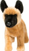 Klaus Belgian Malinois