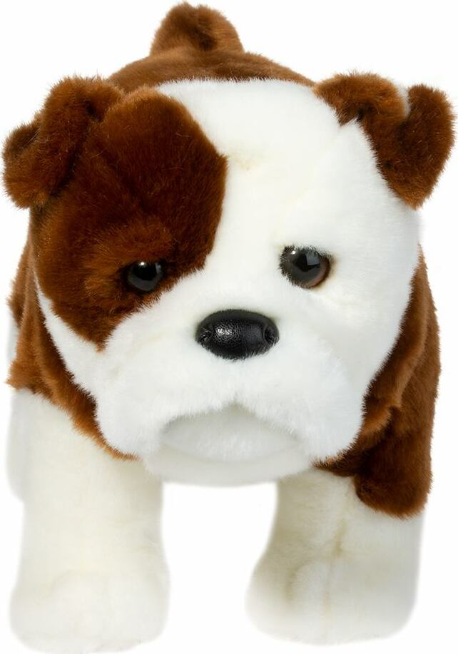 Hardy Bulldog