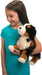 Trevor Bernese Mountain Dog