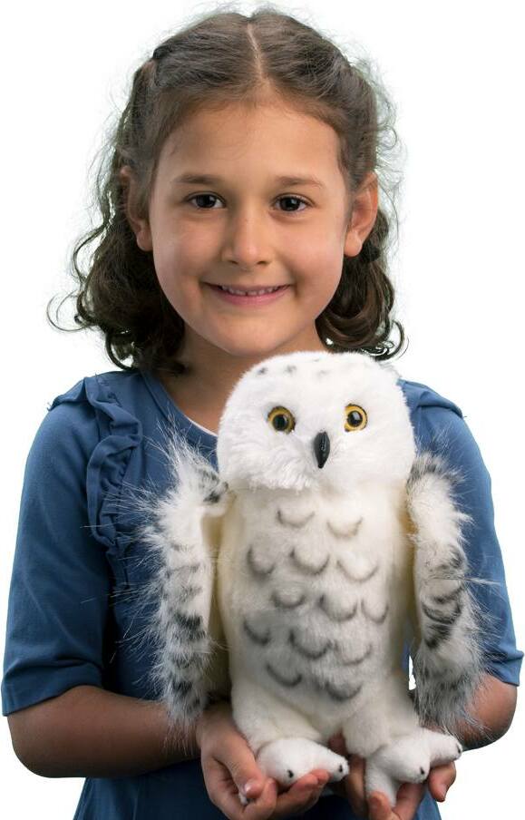 Legend Snowy Owl
