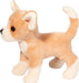 Chichi Chihuahua