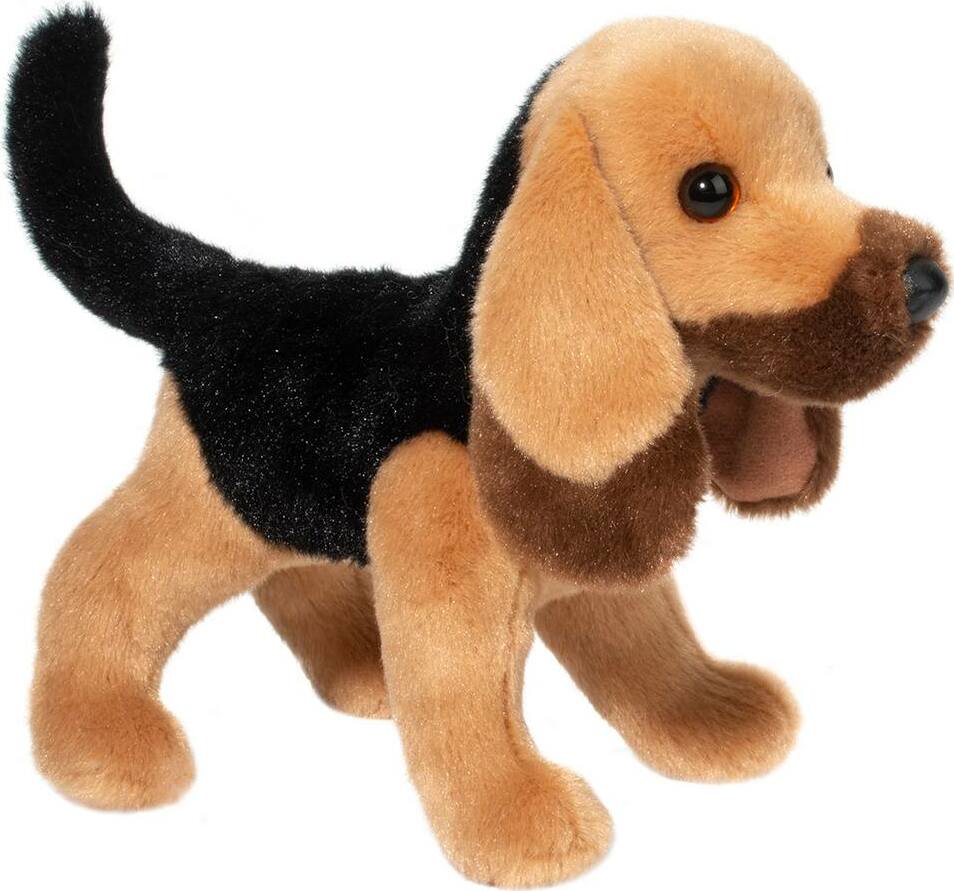 Trapper Bloodhound