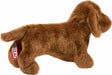 Dilly Dachshund