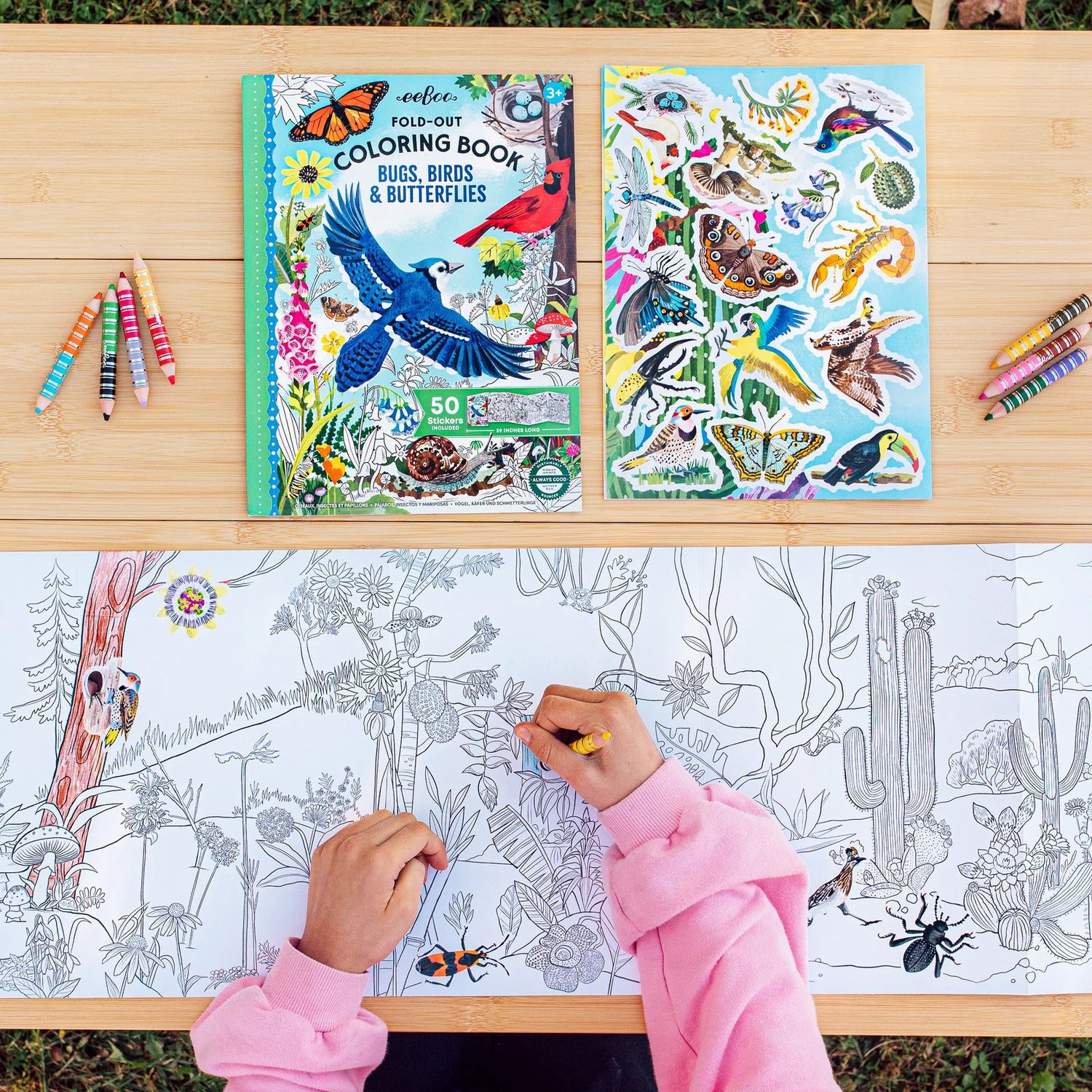 Bugs, Birds & Butterflies (fold-out coloring book with stickers)