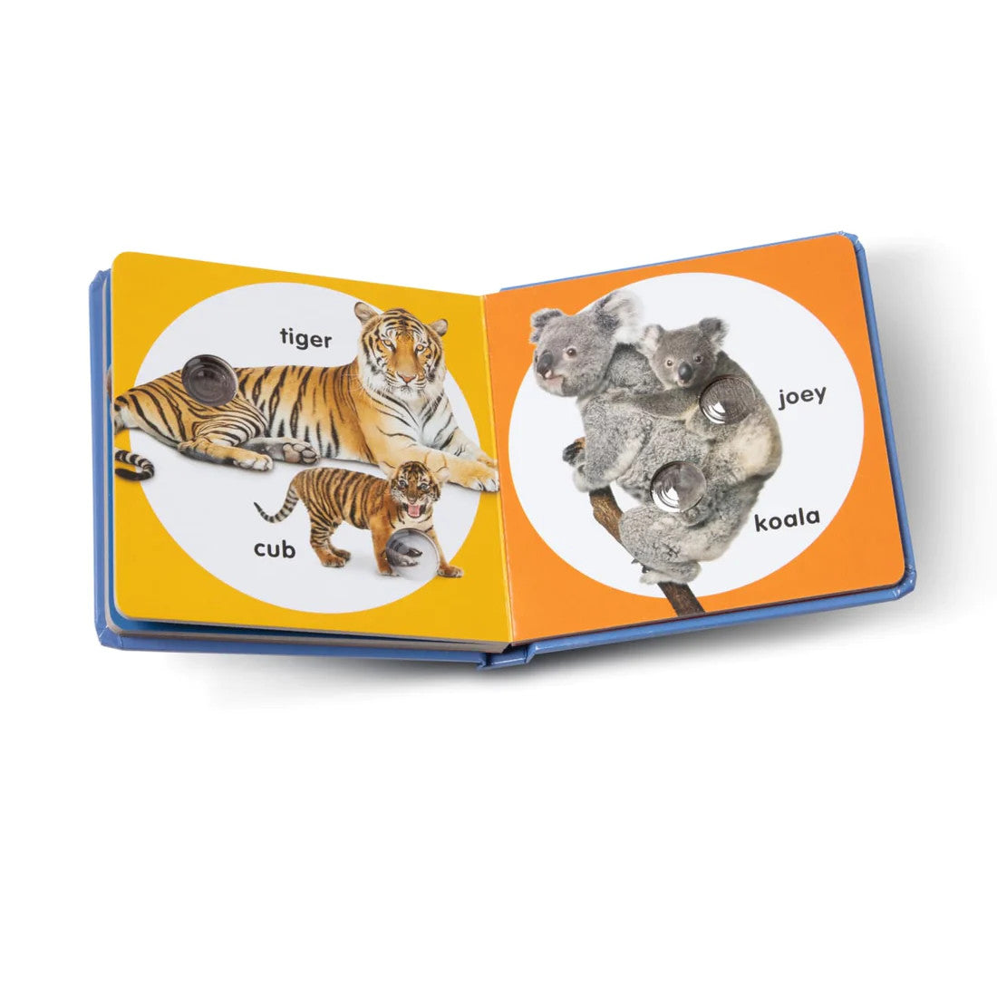 Wild Animal Families Poke-A-Dot Book