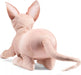 Sphynx Cat Puppet