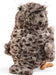 Wise Owl Puppet