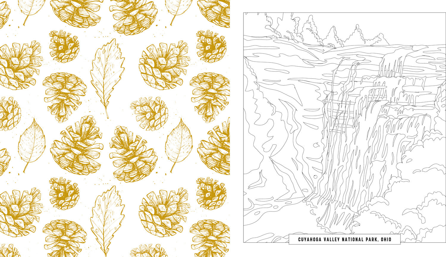 National Parks Coloring Book