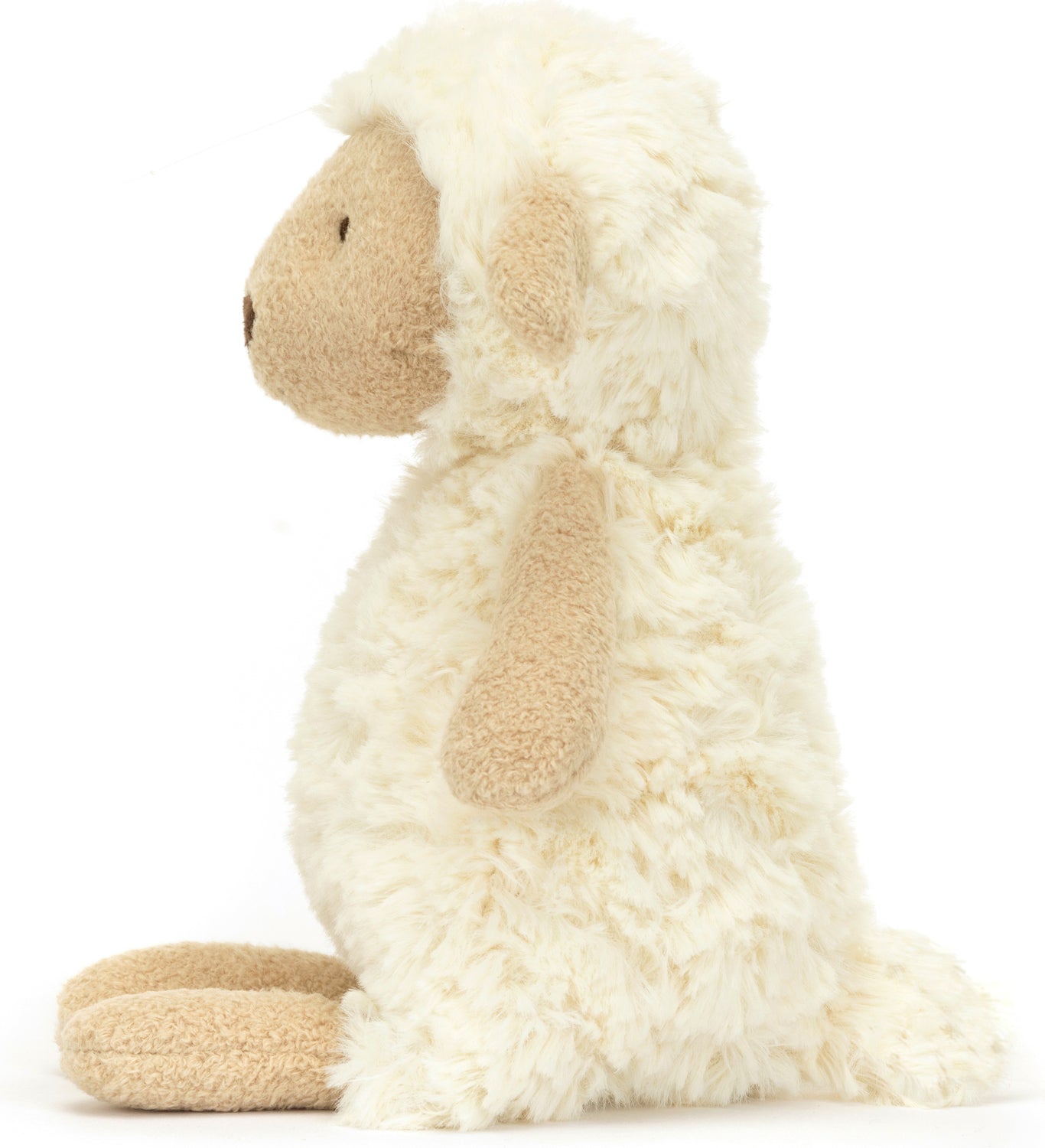 Lollie Lamb