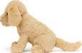 Tilly Golden Retriever