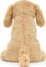 Tilly Golden Retriever