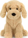 Tilly Golden Retriever
