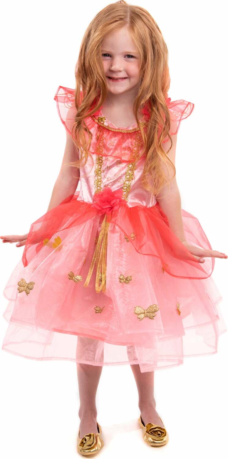 Butterfly Fairy - 1-3 Years (S)