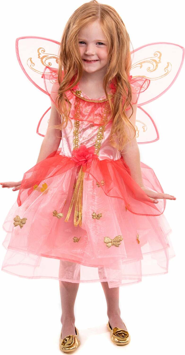 Butterfly Fairy - 1-3 Years (S)
