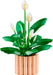 LEGO Botanicals: Peace Lily